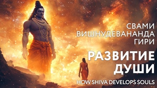 Сатсанг Развитие души, Свами Вишнудевананда Гири