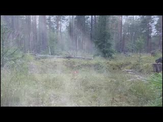 vitaliy.m7-702.mp4