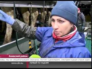 Животноводческий комплекс в селе Троицком - лидер по надоям