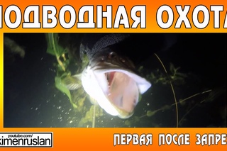 ПОДВОДНАЯ ОХОТА - первая после запрета