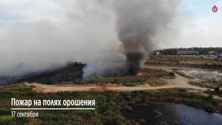 Пожар на полях орошения/ Кадры с дрона / Таймер