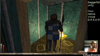 Daggerfall HD Unity + D R E A M mod on Linux