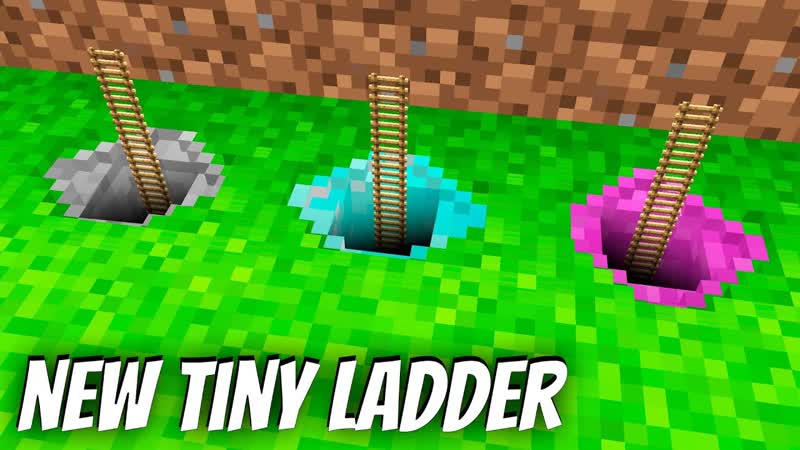 I found a NEW TINY LADDER in Minecraft DIAMOND TINY