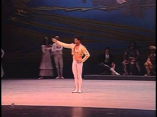 Don Quijote - Viengsay Valdés Carlos Acosta Act 3