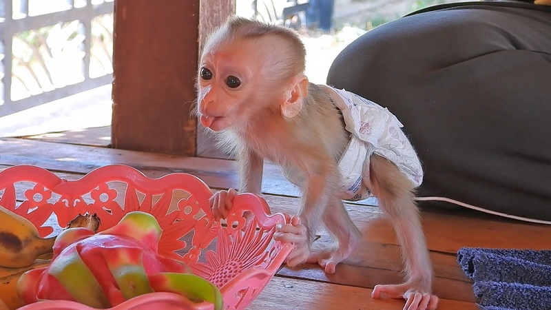 Daughter Valen Eats Fruit And Play Chicken