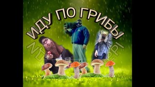 Собираю типо грибы