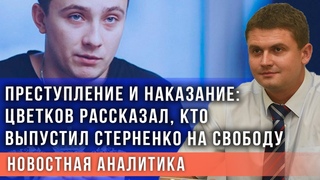 Цветков рассказал, кто и зачем выпустил Стерненко на свободу