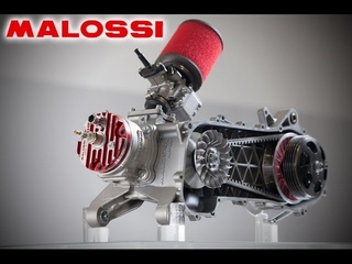 Malossi C-One | SSP UA