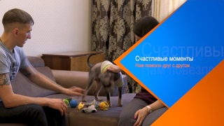 Счастливые моменты. Владимир и Наталья Микульские и их питомец бельгийский гриффон Гриша
