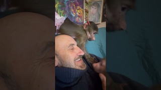 #shorts Степа с Владом разговаривают на СВОЕМ ЯЗЫКЕ)))