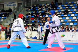ITF Taekwon-Do Euro Cup 2013 1-3 March 2013
