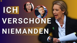 TACHELES! Erbarmungslose Rede von Alice Weidel. Nach jedem Satz tosender Applaus #afd