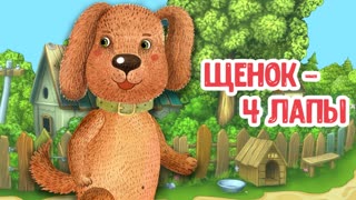 Щенок - 4 лапы