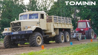Oldtimertreffen - Alt Tucheband 2024  Traktor- Truck Pulling |  2