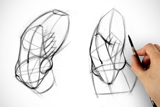 Robo Bean vs Anato Bean - Obliques Assignment Example