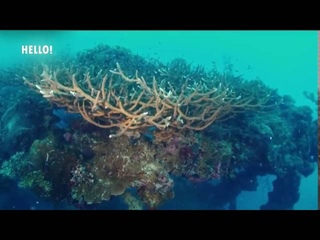 Документальный фильм. Чудеса голубой планеты. Австралия и Океания