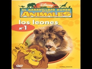 El maravilloso mundo de los animales de disney , los leones ♥.