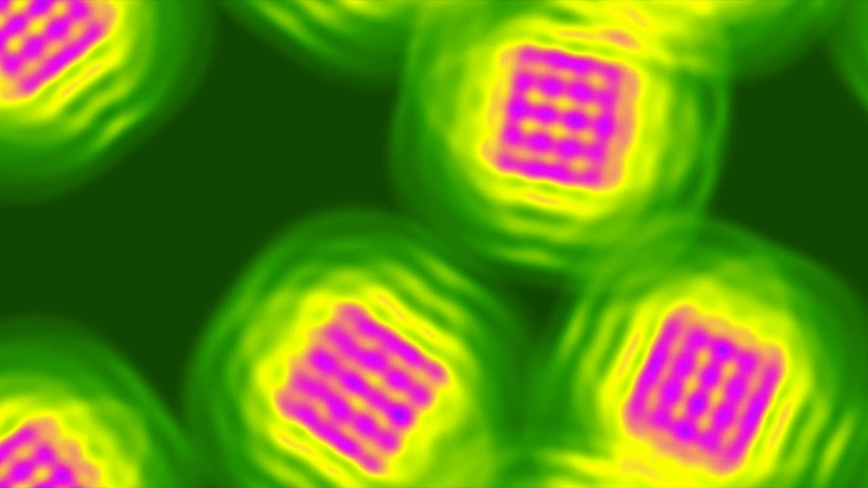 Lenia Mathematical Life