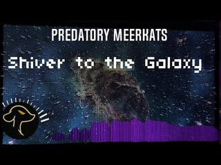 Predatory Meerkats Shiver to the Galaxy