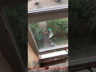 В Кривом Роге мужчина подорвался на гранате: ему оторвало ногу, ранены трое полицейских