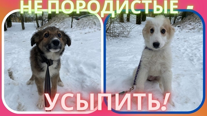 На берегу стояла коробка с двумя