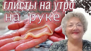 ГЛИСТЫ ПУЛЕЙ ВЫЛЕТЯТ на утро! Очень простой способ избавиться от глистов в домашних условиях!