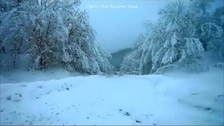 Chris Rea Looking For The Summer