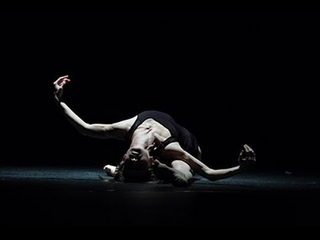 Вертикальные связи (мечты саламандры)  (2012)