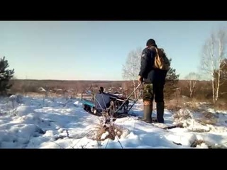 прогулка на мотособаке.