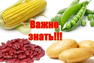 Как соблюдать севооборот/ Какие овощи можно сажать рядом
