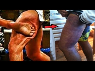 Devastating... Most Brutal Low Kick KO’s in K-1
