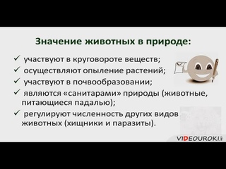 Роль животных в жизни человека. Рассказ роль животных в природе. Ролт животных в природе. Роль животных в природе и жизни человека. Животные их значение в природе.