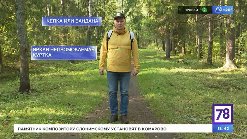 Выжить в лесу. Неделя в