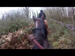 Harry’s First Hunt