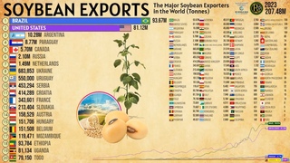 The Major Soybean Exporters in the World