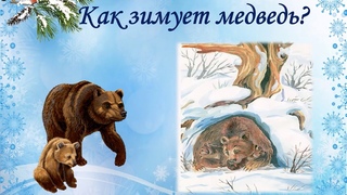 Добро пожаловать Зима, или как зимуют звери