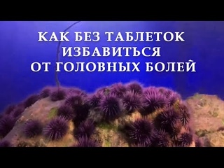 Чудесное избавление от головных болей. Отзывы потребителей о МАРИКАДЕ.