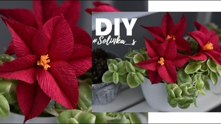 DIY soli4ka_s Клематіс з гофрованого паперу/ crepe paper clematis