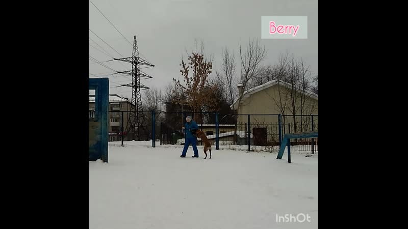 Berry. Занимаемся в