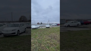 Что происходит в деревне Гребенкино Липецкой области?)