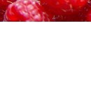 №17, Руслан Титов, Херсон, Украина №17, Руслан Титов, Херсон, Украина