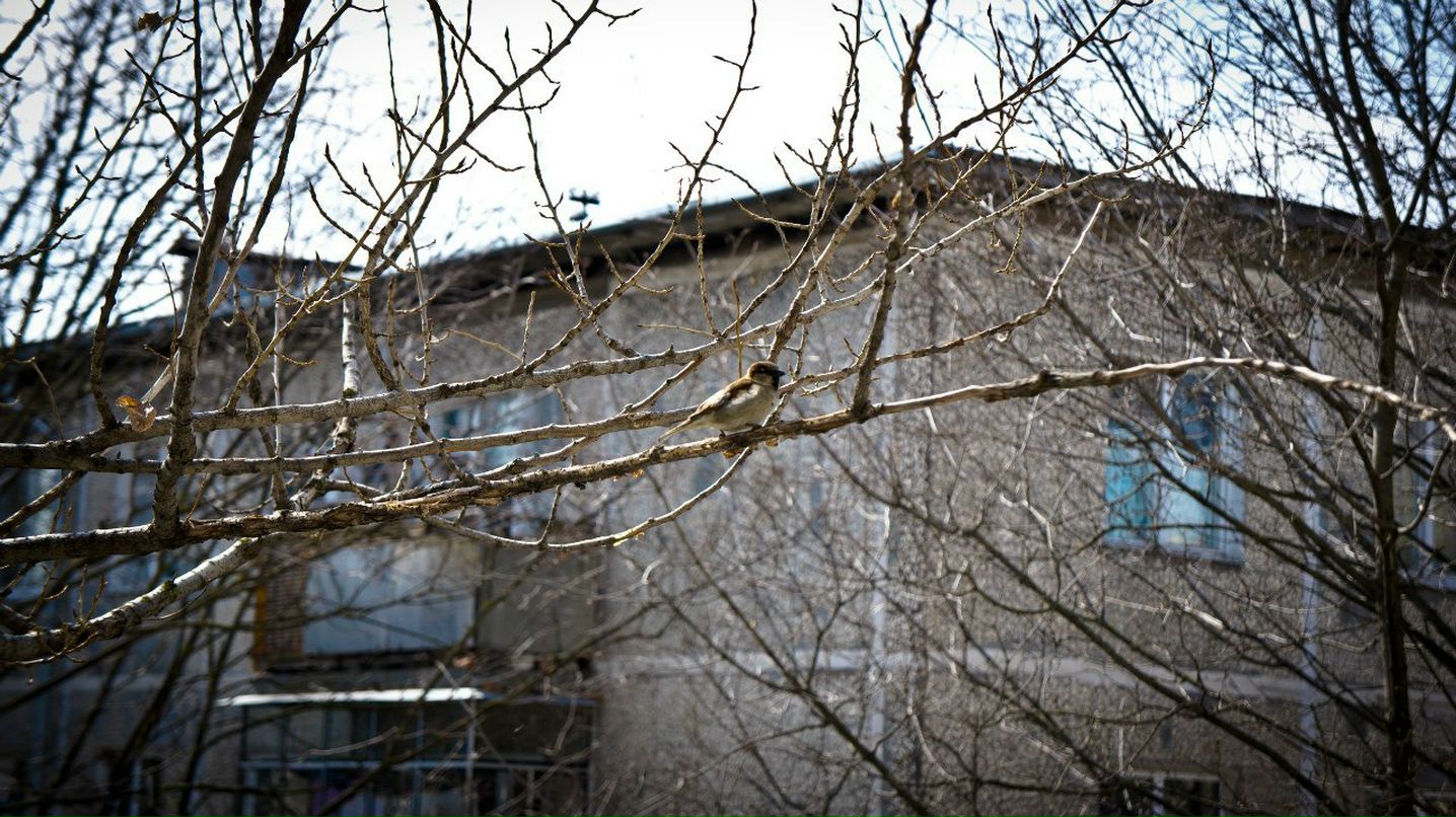 Денис Никитин | Ростов-на-Дону