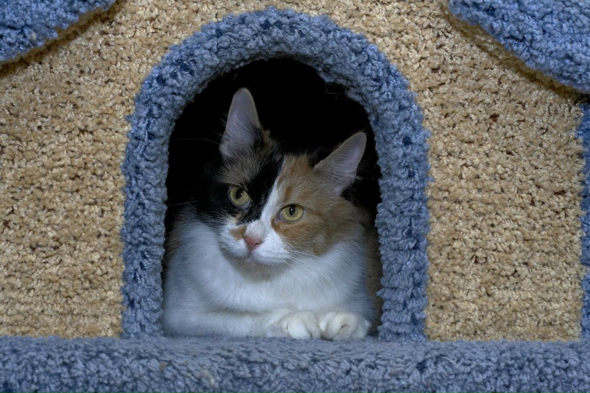 Катерина Uma rock♥n♥heart | Санкт-Петербург