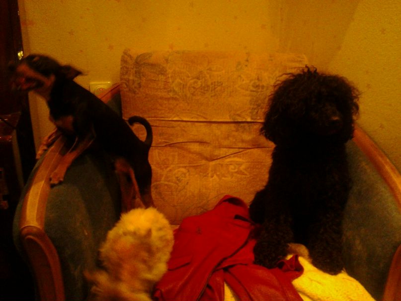 Екатерина Никулина | Псков