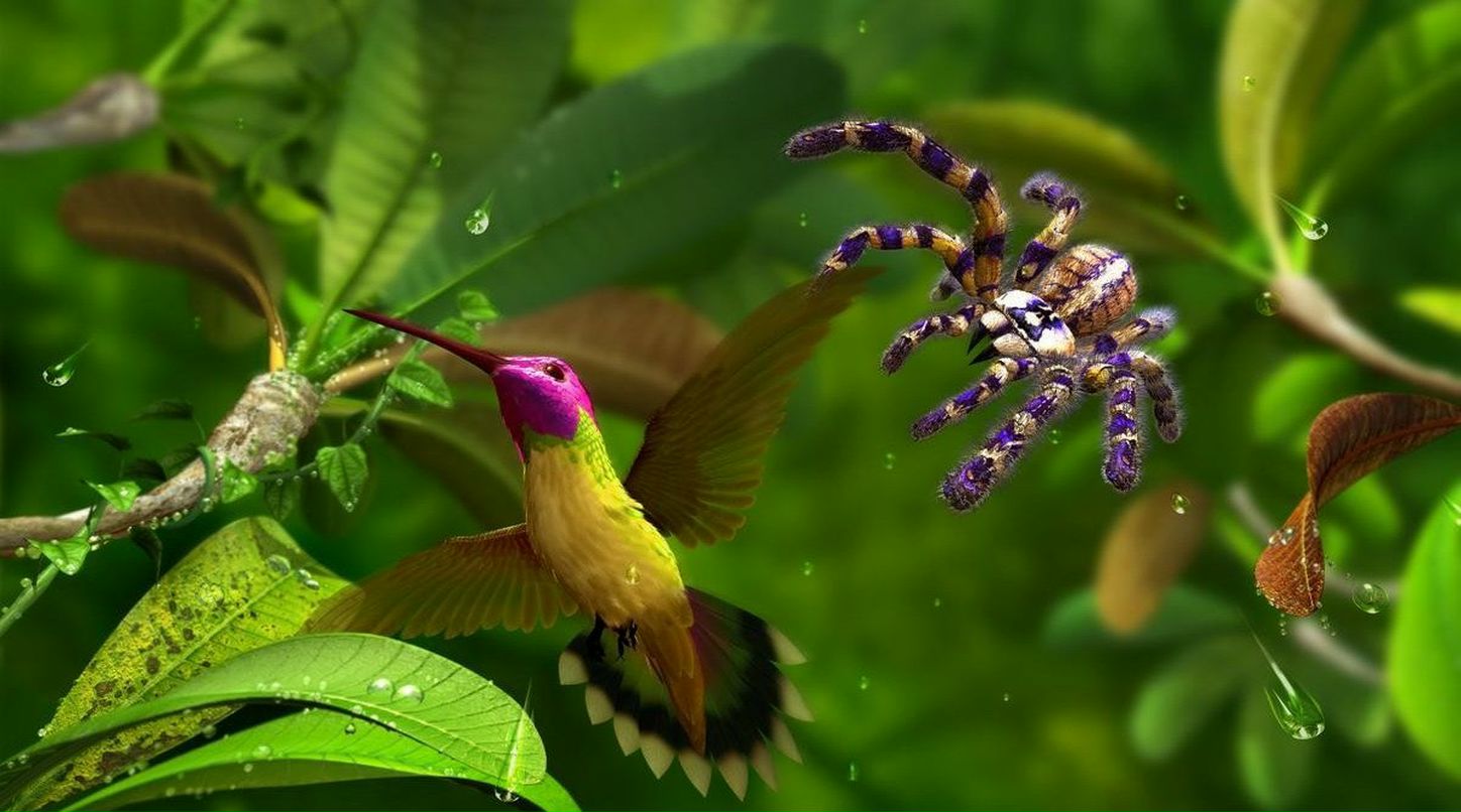 Владимир Зощук То густо То пусто | Севастополь