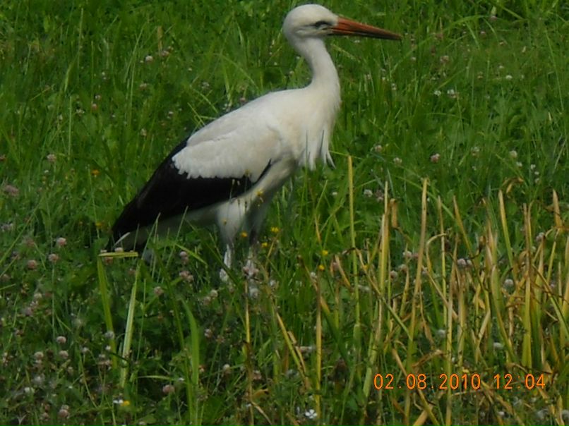 Татьяна Казанцева | Санкт-Петербург