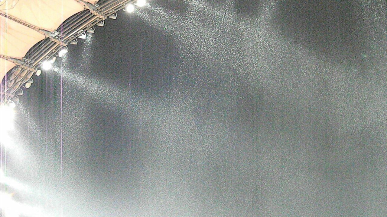 Светлана Николюк | 