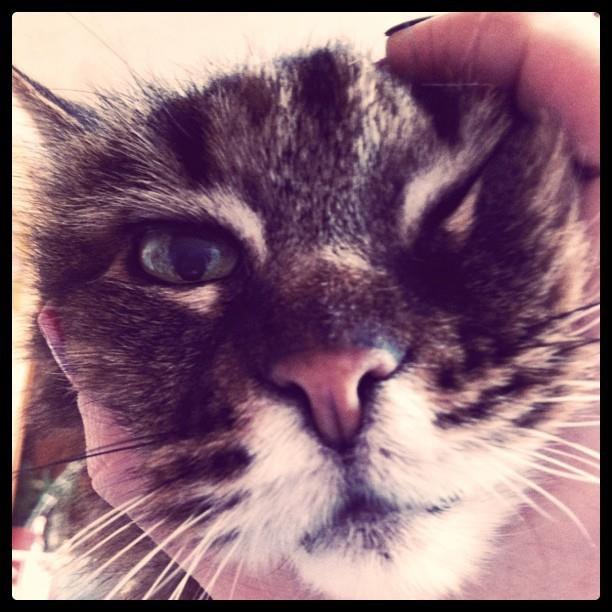 Юлия Макаренко | Одесса