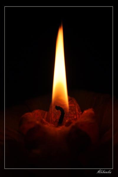 Татьяна Лебедева | Знаменка