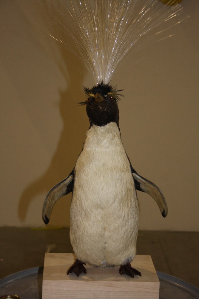 Дмитрий Леонтьев | Донецк